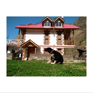 /storage/uploads/properties/original/Offbeat Stay HP-111 - Cottages, Himachal Pradesh-banjar-Himachal Pradesh-Cottages-OffBeat-Stays-7a29538f13c7df516b77424d93241c0b0.jpg